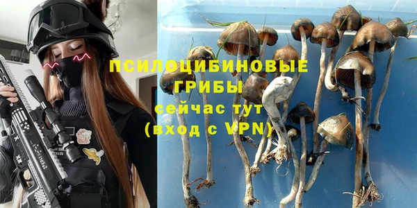 Альфа ПВП Касимов