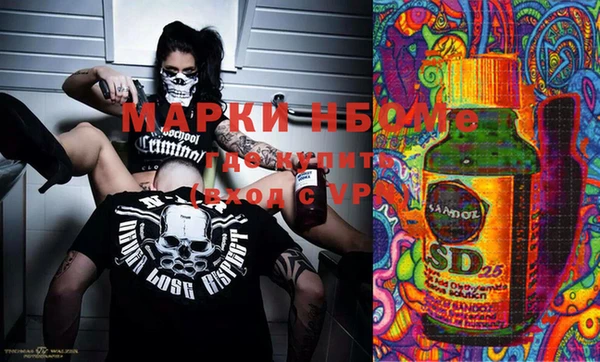 гашик Карталы